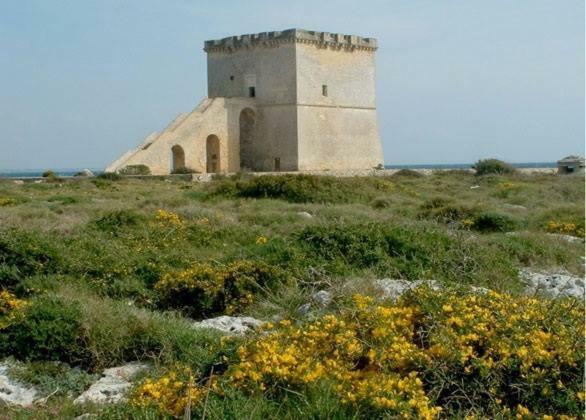 Vev Salento Panzió Porto Cesareo Kültér fotó